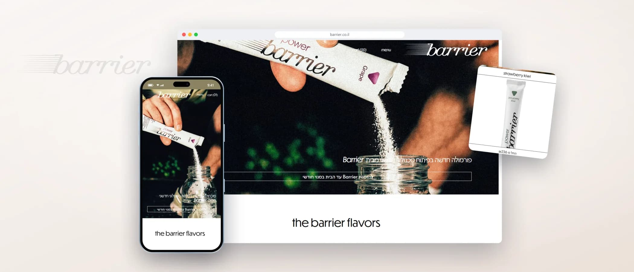 תמונת פרויקט: Barrier