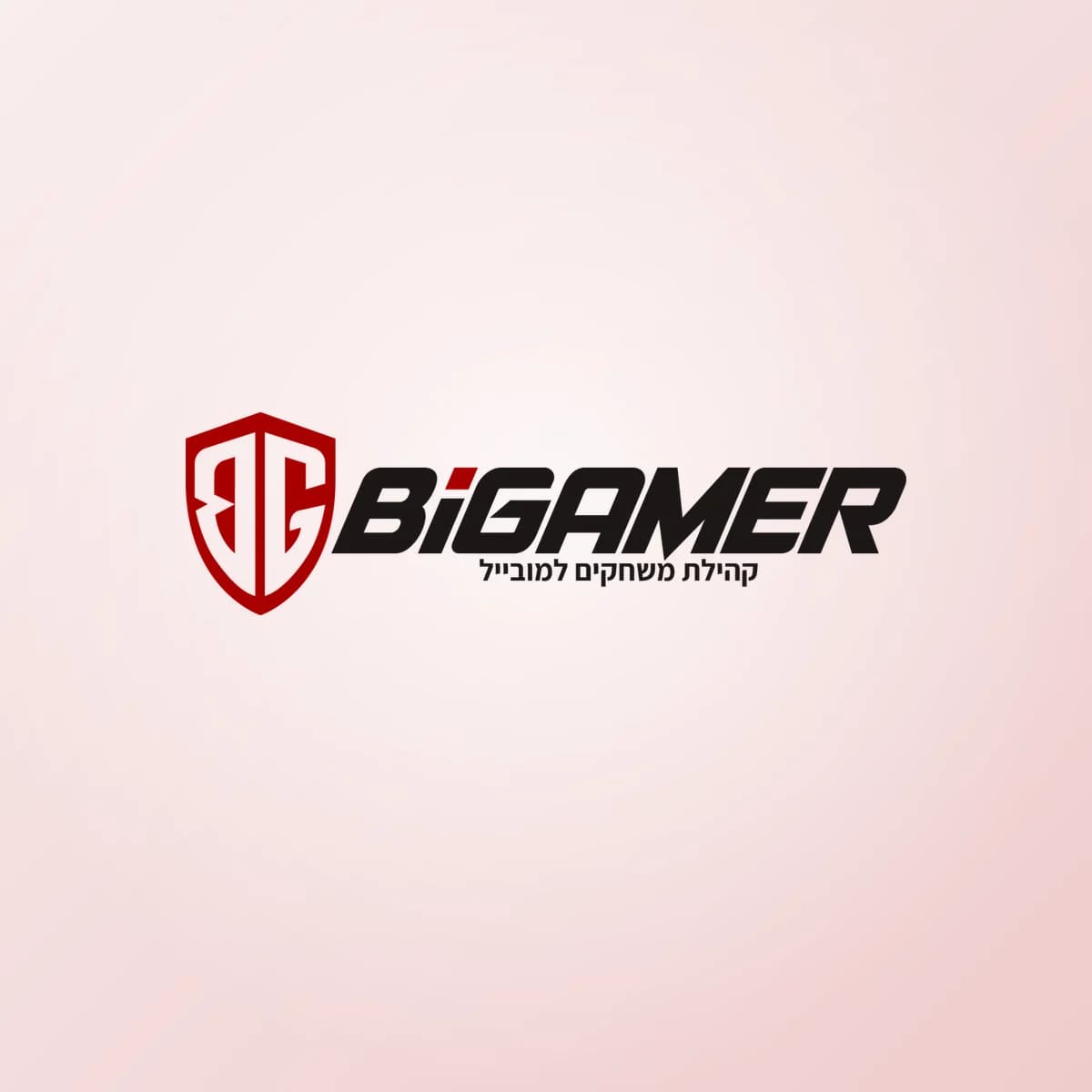תמונת פרויקט: BiGamer