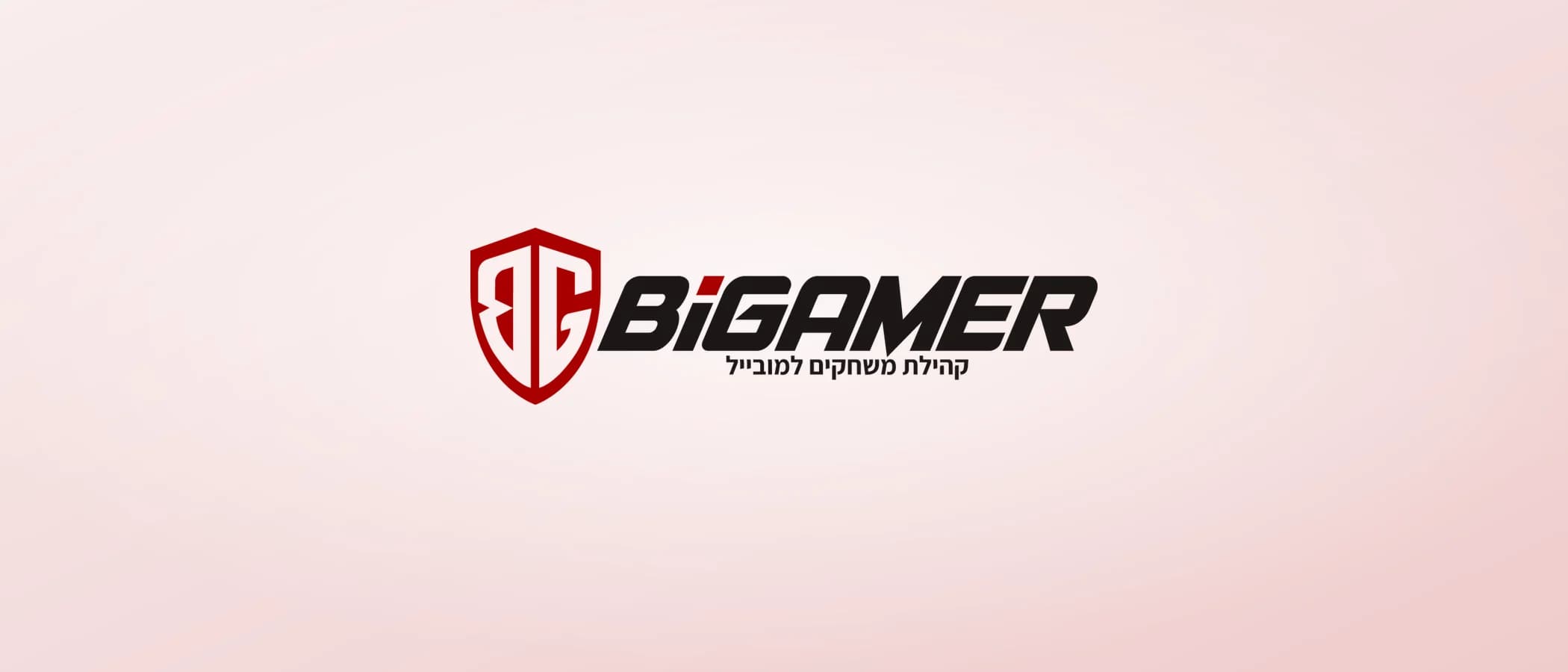 תמונת פרויקט: BiGamer