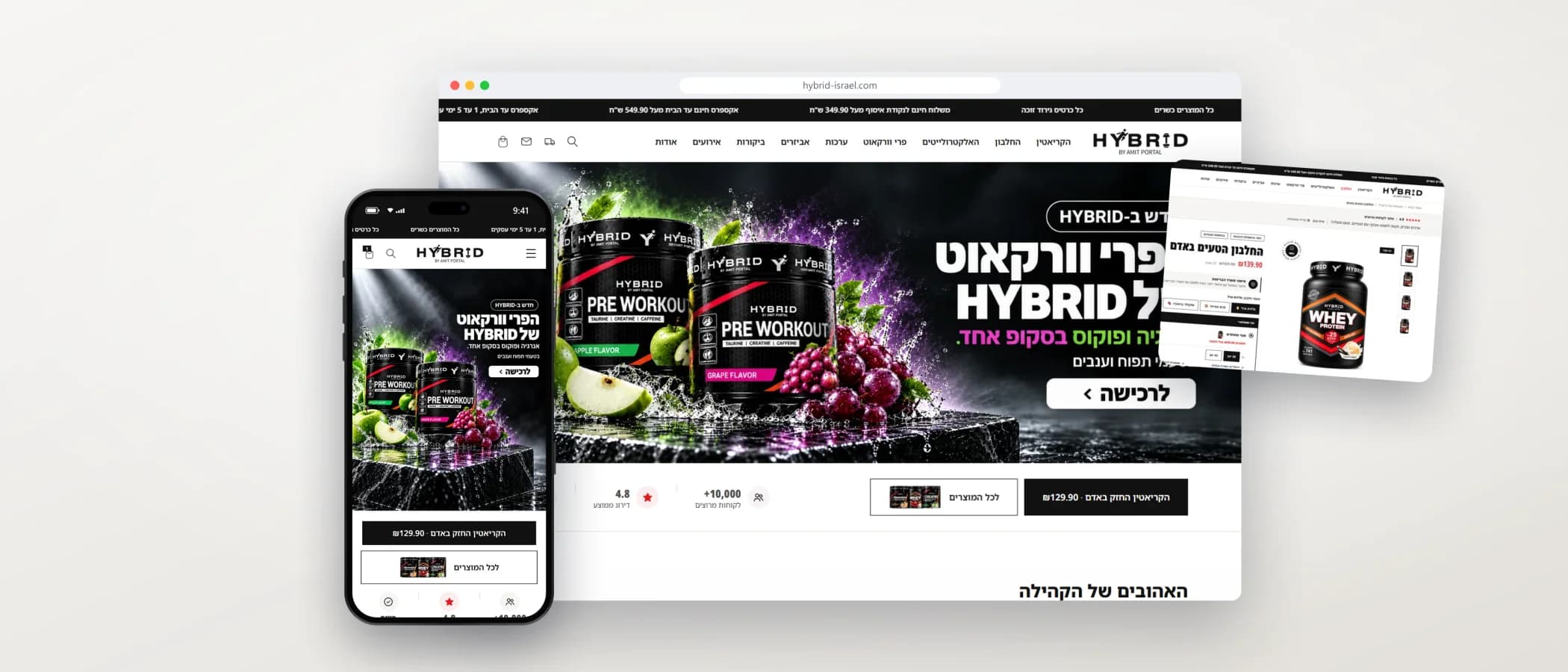 תמונת פרויקט: Hybrid Israel