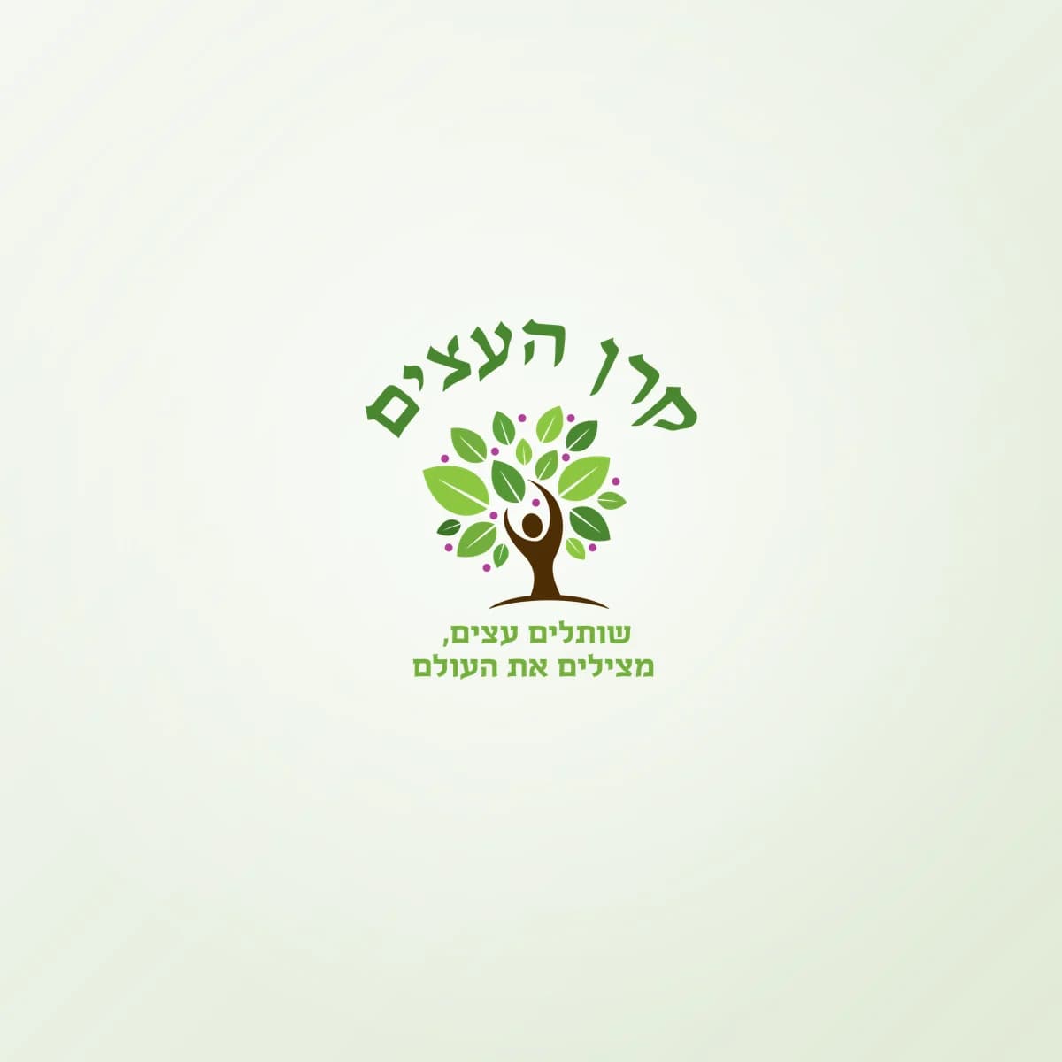 תמונת פרויקט: קרן העצים