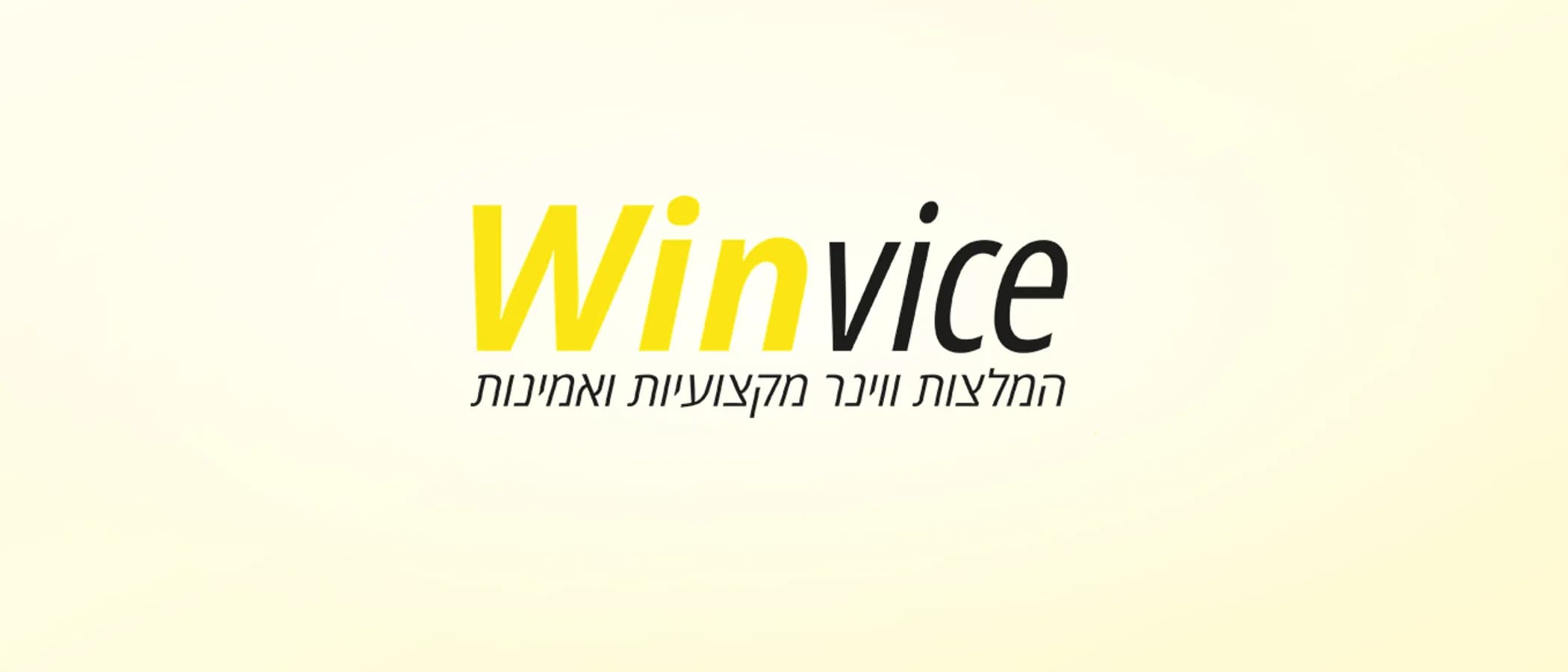תמונת פרויקט: Winvice