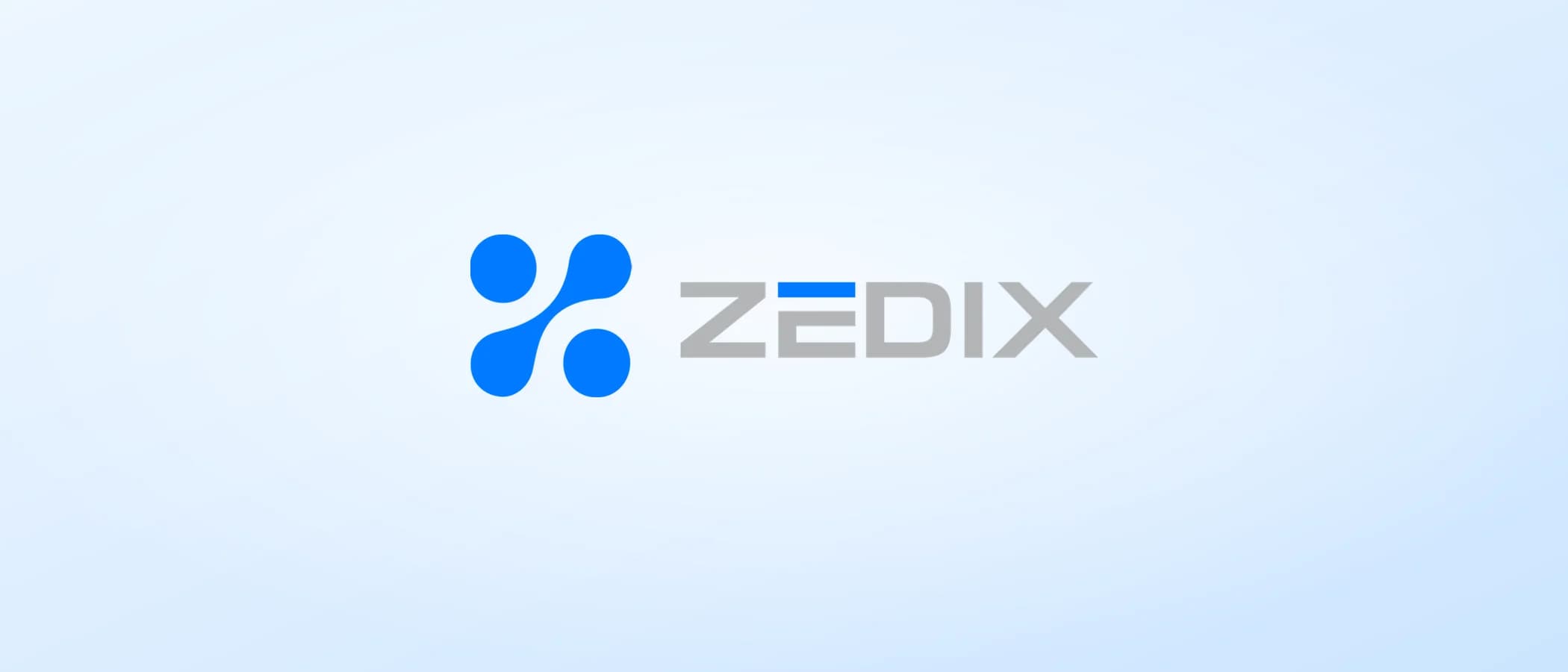 תמונת פרויקט: Zedix