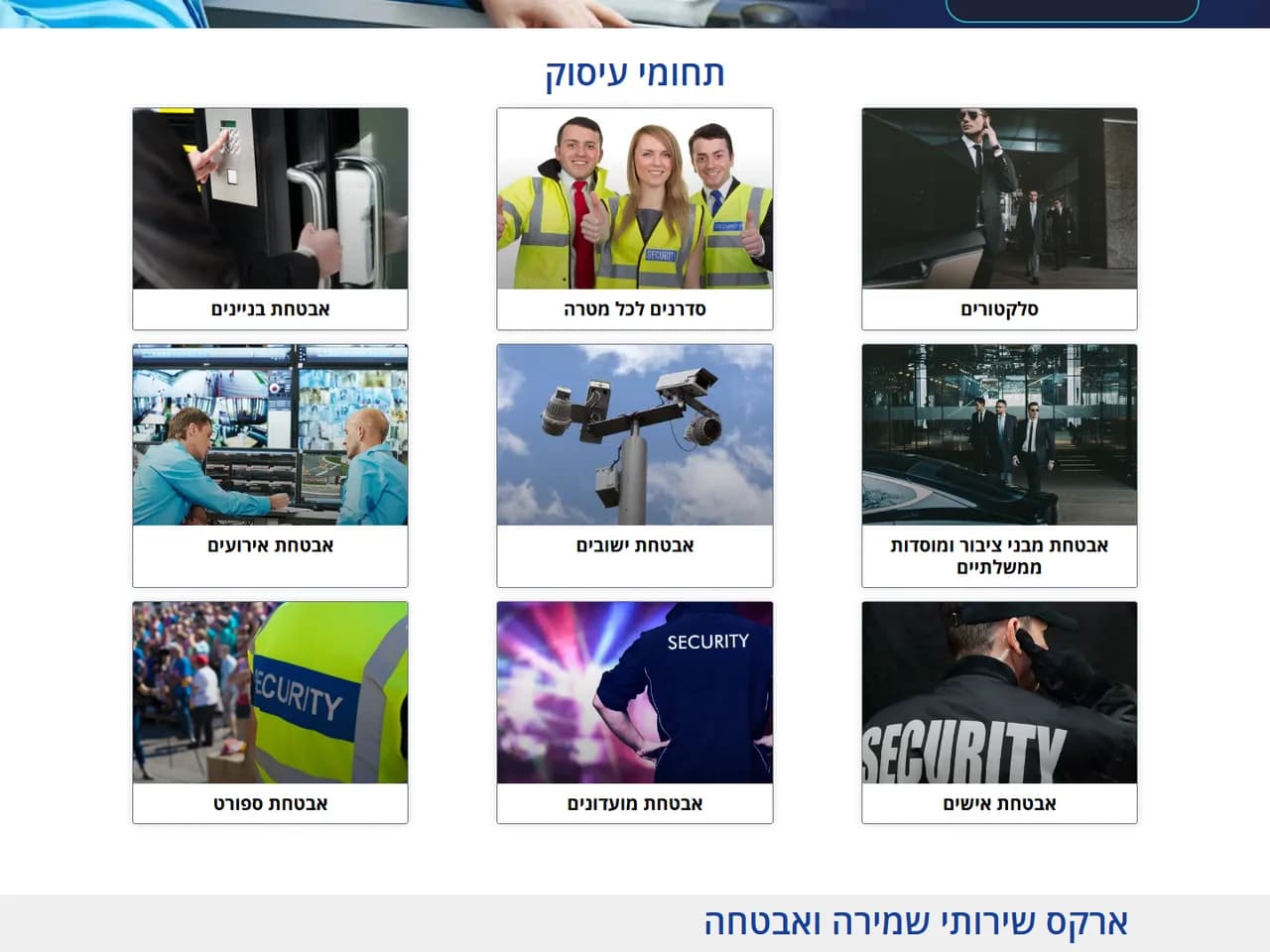 Araks: תחומי העיסוק