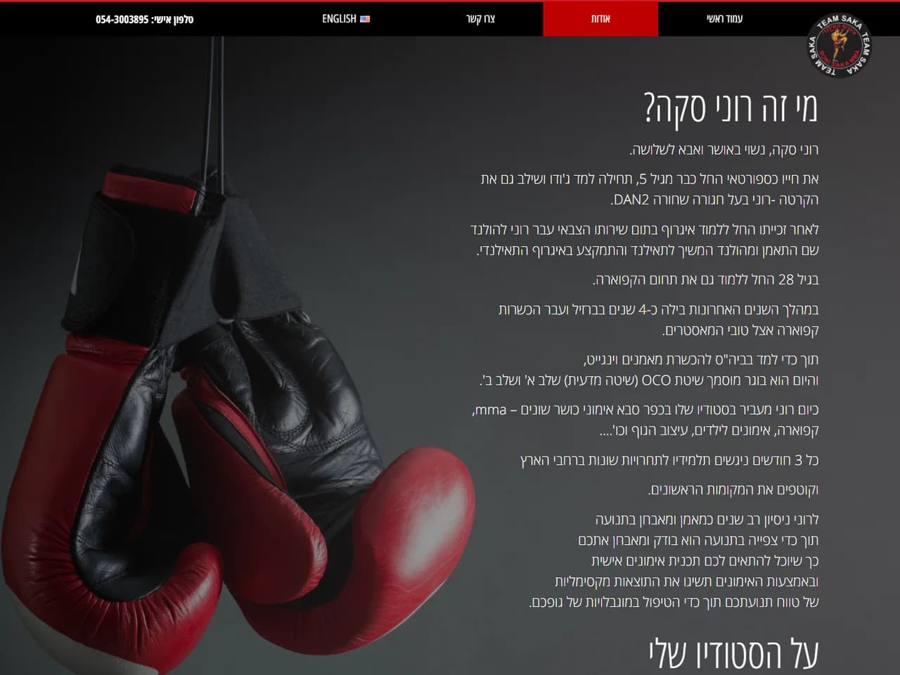 רוני סקה: עמוד אודות