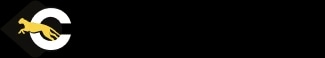 הלוגו של צ'יטה / Cheetah