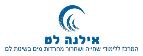 הלוגו של אילנה לם